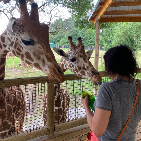 Meet your Posher, Lisa - Picture 6 of 8